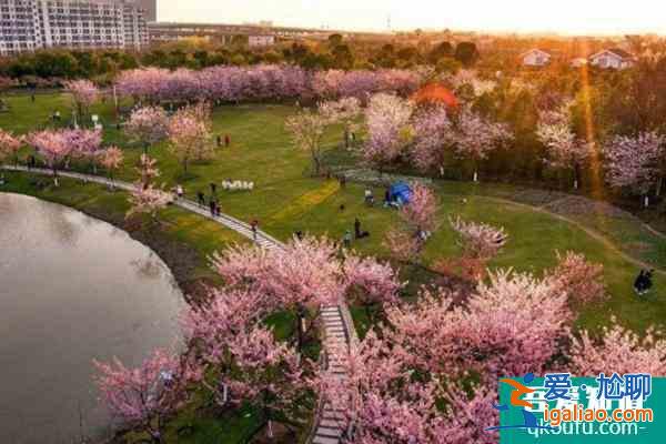 2021寧波植物園12月6日臨時閉園公告？