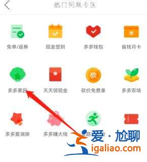 拼多多果樹怎么換品種？