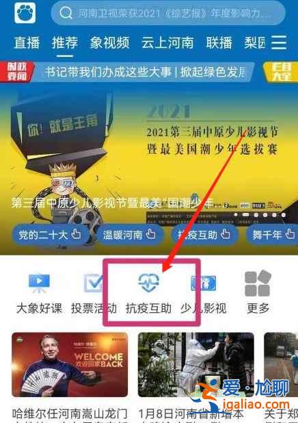 河南抗疫互助通道在哪？