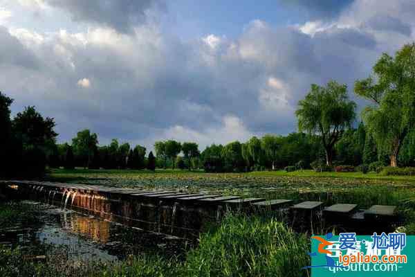 2021宜興國家森林公園開放了嗎？