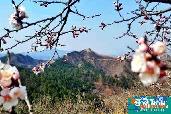 金山嶺長(zhǎng)城年票去哪辦?多少錢(qián)?？