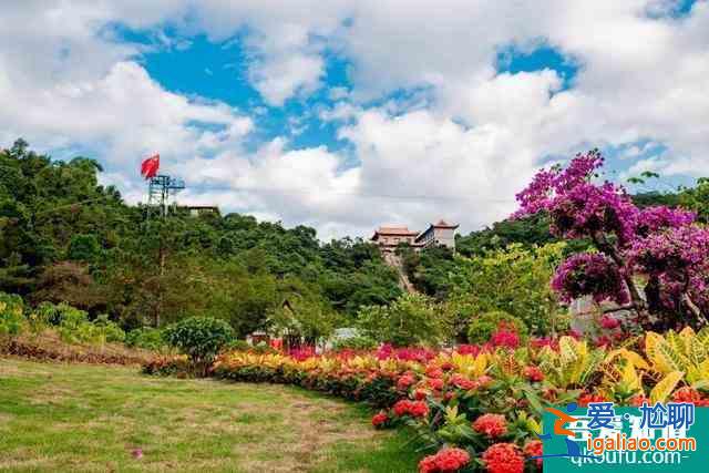 2021觀音山森林公園開放時(shí)間 東莞觀音山森林公園開放了嗎？