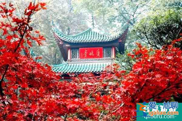 長沙岳麓山景點介紹及游玩攻略？