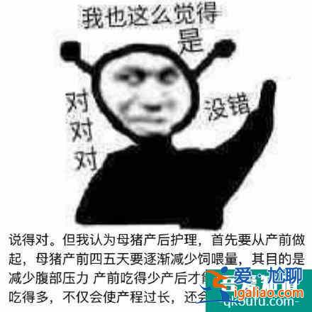 微信迎來“史詩級”功能！我等了它一年？