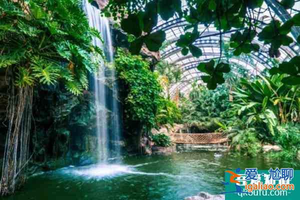 2021天津熱帶植物園門票優(yōu)惠政策？