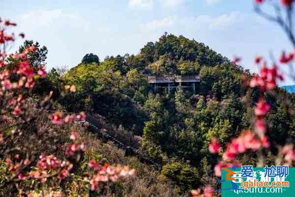 2022南寧大明山茶景區(qū)春節(jié)有什么活動？