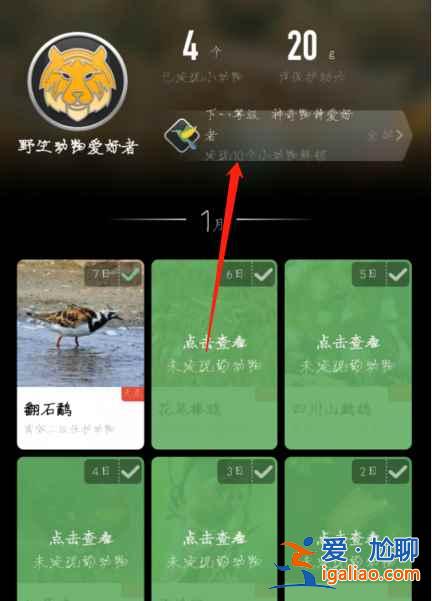 螞蟻森林神奇物種勛章怎么獲得？