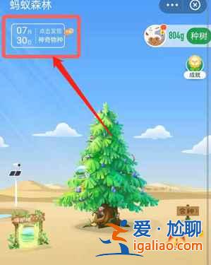 螞蟻森林神奇物種在哪里？