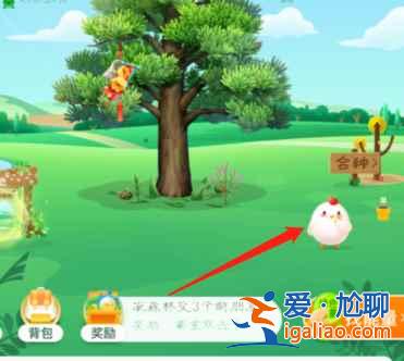 螞蟻莊園小雞皮膚為啥別人有自己沒有？