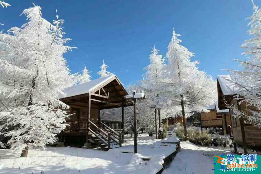 神農(nóng)架冬日滑雪攻略？