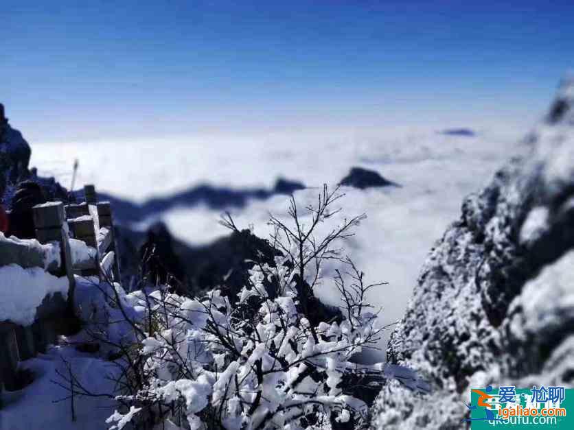 神農(nóng)架冬日滑雪攻略？