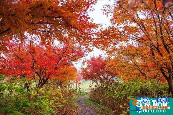 2021無(wú)錫九龍灣花星球現(xiàn)在好玩嗎？