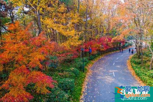 長(zhǎng)沙雨花區(qū)有哪些免費(fèi)的景點(diǎn)？