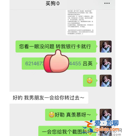 王思聰最新情況!花四萬五買狗討好小肉安 雙方感情穩(wěn)定讓人羨慕