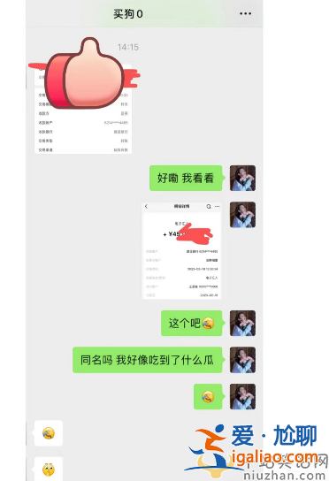 王思聰最新情況!花四萬五買狗討好小肉安 雙方感情穩(wěn)定讓人羨慕