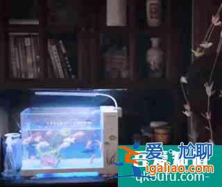 《以家人之名》左手宋威龍右手張新成，被寵上天的譚松韻太幸福？