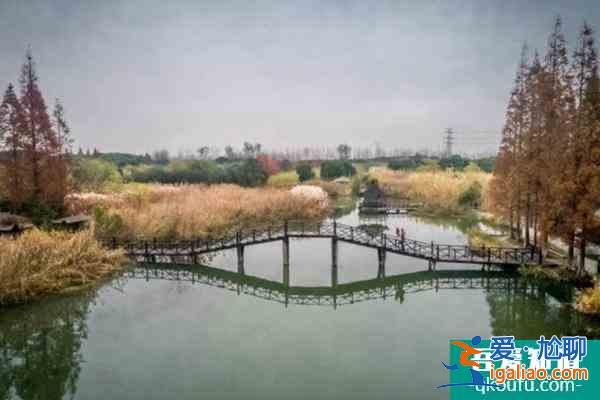 常熟沙家浜風(fēng)景區(qū)將于12月1日至7日免費開放？