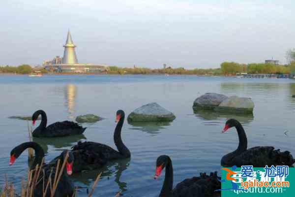 鄭州綠博園現(xiàn)在開放嗎2021 鄭州綠博園將于12月1日恢復(fù)開放？