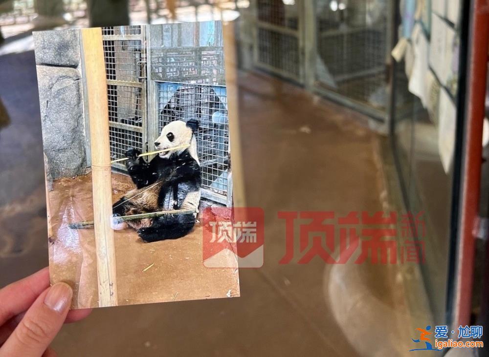 專家已赴美照看“丫丫”并協(xié)商回國？