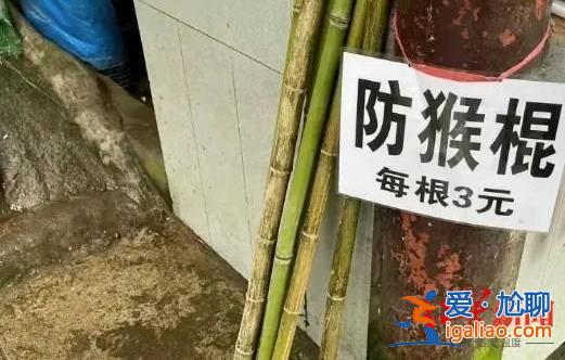 將繼續(xù)推進(jìn)“人猴分離”？
