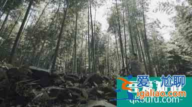 抗疫劇《在一起》還原度高獲贊，網(wǎng)友：快配上英文字幕？