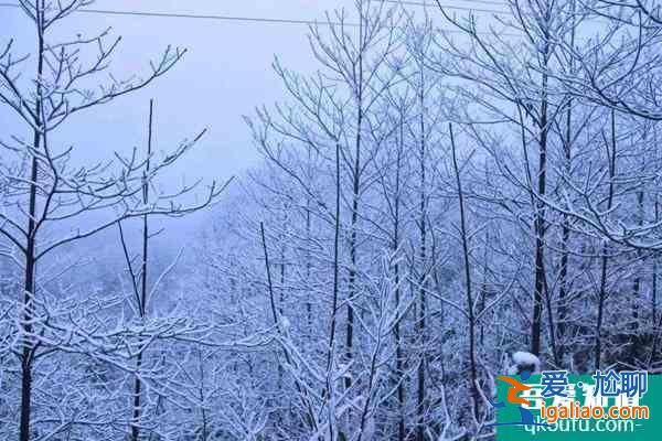 2022年1月28日起內(nèi)江石板河景區(qū)、古佛頂景區(qū)、重龍山景區(qū)閉園？