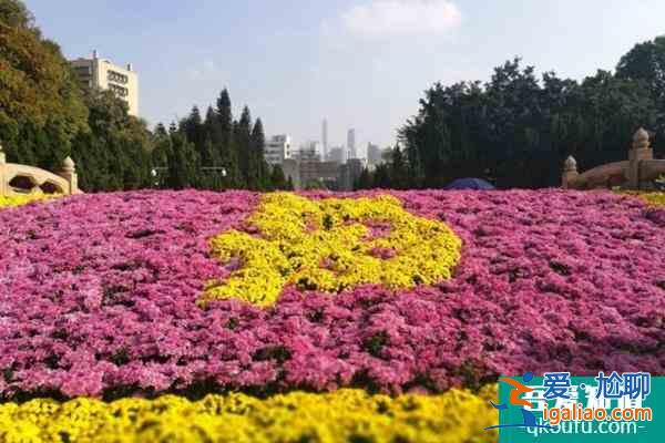 2021廣州黃花崗菊花展舉辦時(shí)間？