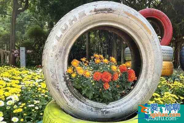 2021青秀山菊花展舉辦時間及地址？
