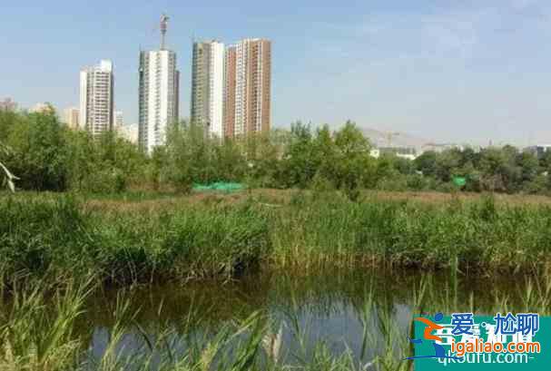 2021甘肅有序恢復(fù)跨省團(tuán)隊(duì)旅游和公共文化服務(wù)場(chǎng)所？