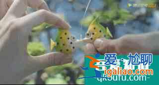 等“顧佳手撕小三”的我懵了，為何《三十》不給我們想看的結(jié)局？？