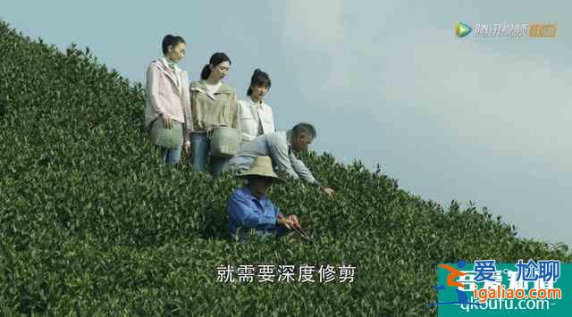 《三十而已》把最想說的藏在3位老人話里，字字?jǐn)嗌犭x句句戳人心？
