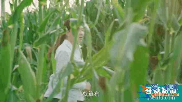 《楓葉紅了》提檔播出，孫茜用“劇拋臉”演技扛起了央視大女主？