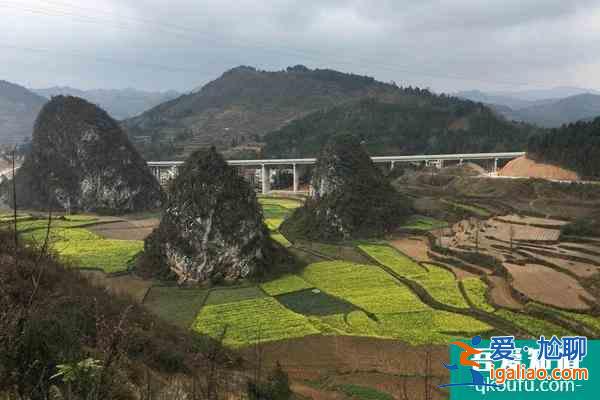 安順因疫情原因1月29日起多個景區(qū)閉園、活動取消？