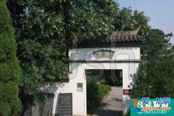 千唐志齋博物館11月23日起恢復(fù)開放通知？