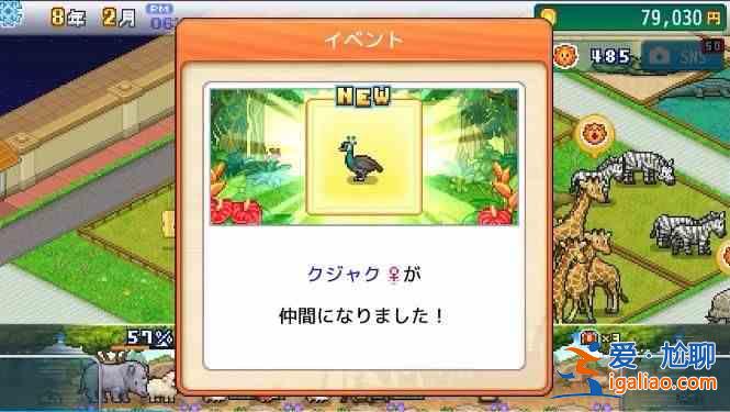 開羅探索頑皮動物園怎么玩 開局最佳布局攻略？