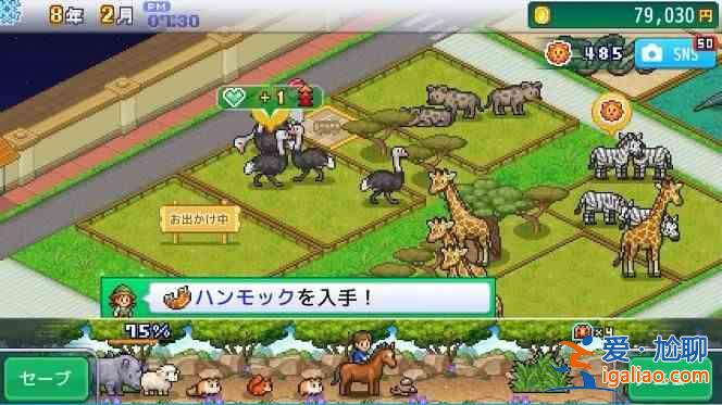 開羅探索頑皮動物園怎么玩 開局最佳布局攻略？