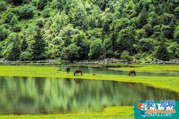 樂山黑竹溝景區(qū)周邊住宿及門票價格？