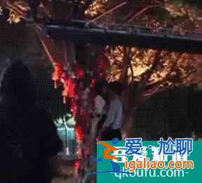 《以家人之名》受追捧，但劇本需規(guī)避一個(gè)隱患，才能力爭(zhēng)今夏爆款？
