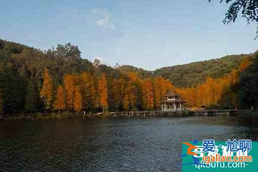 仙湖植物園春節(jié)期間開(kāi)園閉園時(shí)間(附預(yù)約教程)？
