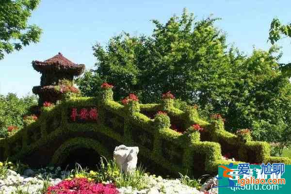 12月1日起烏魯木齊植物園免費對外開放的通知？