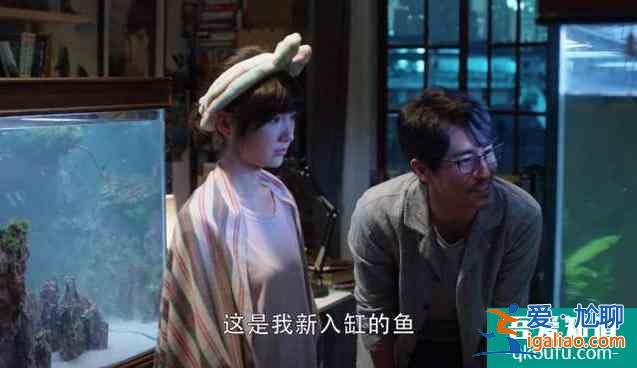 《三十而已》鐘曉芹陳嶼復(fù)婚，離婚真的能改變一個(gè)男人？？