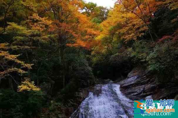 2021眉山瓦屋山景區(qū)什么時(shí)候恢復(fù)開(kāi)放？