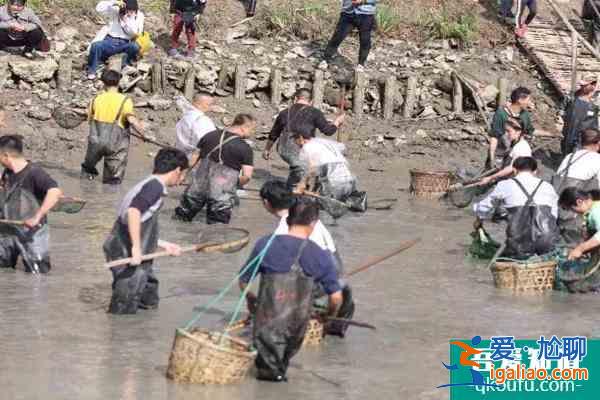 2021西溪濕地干塘節(jié)時間及門票？