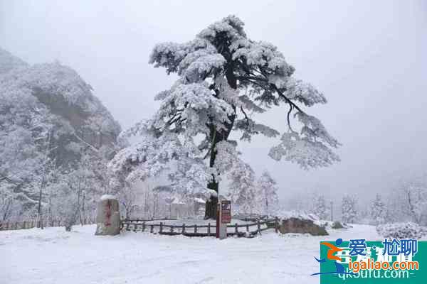 2021西安翠華山滑雪場開放時間及早鳥票詳情？