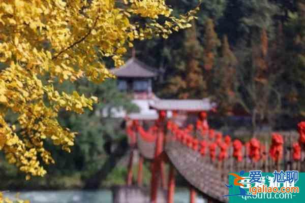 2021青城山都江堰景區(qū)門票優(yōu)惠政策？