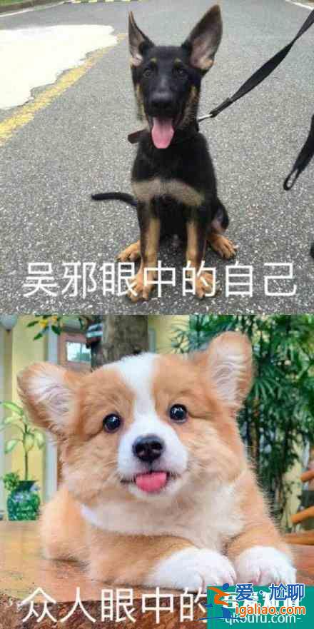 《重啟》吳邪頭像是狗，張起靈的是長白山，劉喪胖子的太搞笑了？