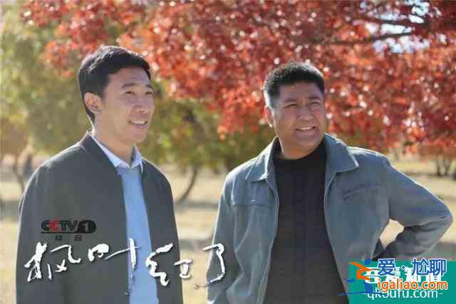 扶貧劇《楓葉紅了》今晚央視一套開播 烏蘭圖雅演唱主題曲？