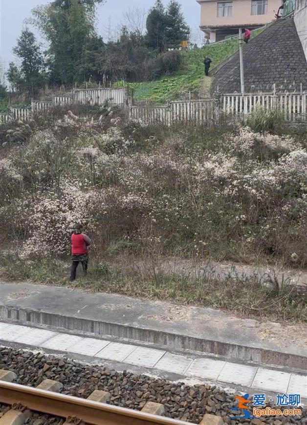 四川雅安一患精神障礙男子走上鐵軌 疑似逼停兩列火車？