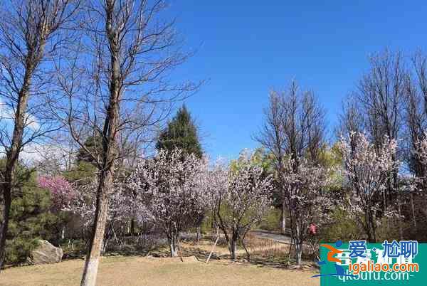 2021因籌辦冬奧會(huì)北京奧林匹克公園中心區(qū)暫時(shí)關(guān)閉？