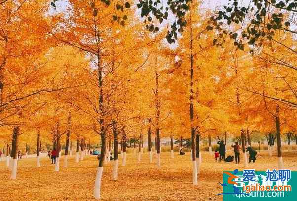 2021因籌辦冬奧會(huì)北京奧林匹克公園中心區(qū)暫時(shí)關(guān)閉？